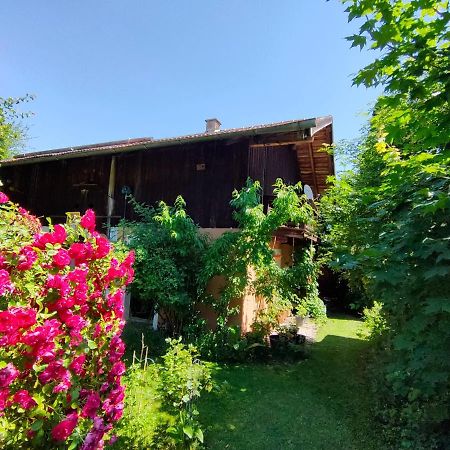 Gemuetliche Ferienwohnung Mit Kamin Und Garten Гармиш-Партенкирхен Экстерьер фото